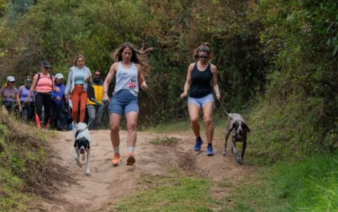Tras el pedido de muchos usuarios, el espacio accedió a permitir el ingreso controlado de mascotas.