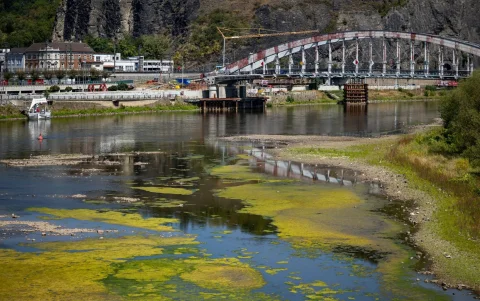 El lecho parcialmente expuesto del río Elba en Ústí nad Labem, República Checa.