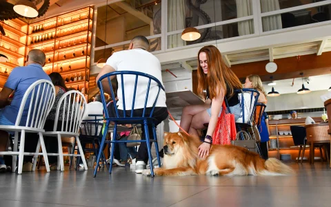 Ciudad Celeste convierte sus espacios comunes y restaurantes en puntos de encuentro para familias y mascotas.