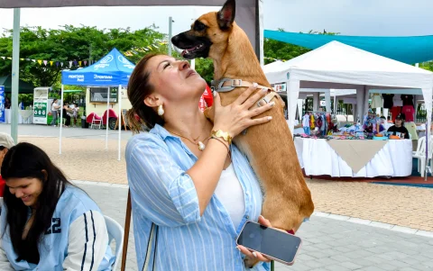 La convivencia con mascotas empieza a ganar espacio en la planificación urbana.