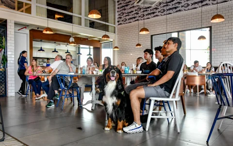 Al menos 40 comercios ya son pet friendly en la parroquia urbana La Puntilla. En Ciudad Celeste hay un parque completamente para mascotas con juegos y dinámicas caninas
