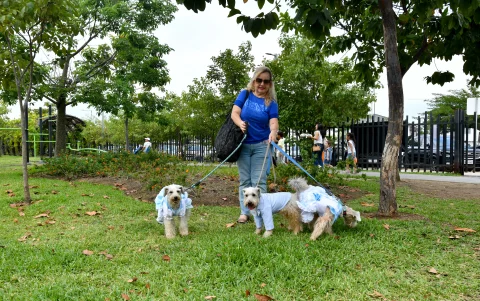 El parque reúne a perros de distintos tamaños y razas durante los fines de semana.