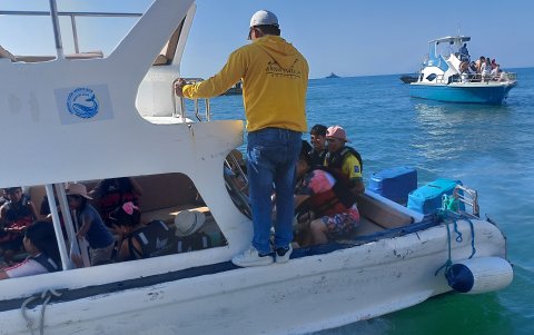 Los paseos en el mar para ver ballenas fue uno de los atractivos