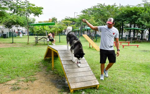 Ciudad Celeste integra circuitos de agilidad y obstáculos diseñados específicamente para el ejercicio canino.