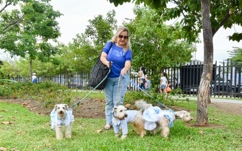 La planificación urbana actual prioriza la integración de las mascotas como parte fundamental de la familia.