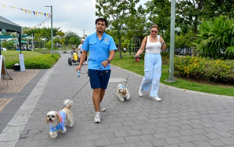 Propietarios de mascotas encuentran en la zona una alternativa para socializar mientras disfrutan al aire libre.