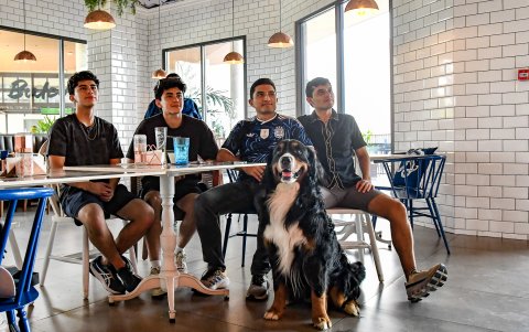 La oferta de servicios especializados acompaña el crecimiento de la tendencia pet friendly.