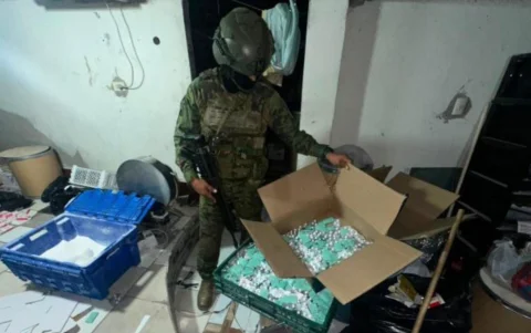 Lo incautado. Fármacos, etiquetas, rollos de aluminio y un molino forman parte de las evidencias.