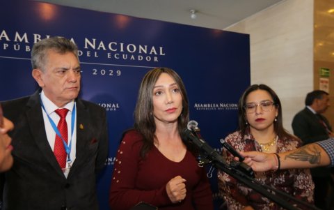 La jefa de la bancada correísta Patricia Núñez reaccionó a la presentación de la nueva agenda legislativa del oficialismo.