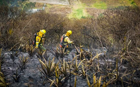 La vegetación seca y la baja humedad aumentan el riesgo de propagación del fuego en varias provincias del país. En Quito, en Pichincha, esta semana se han registrado varios incendios.