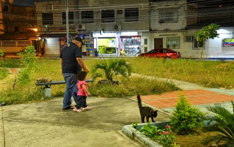 La maleza crecida y el desgaste en los juegos infantiles dificultan el uso recreativo de parques en Pradera 1.