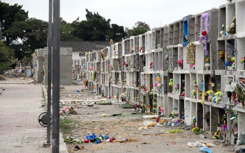 Desde afuera, se observan bóvedas en construcción.