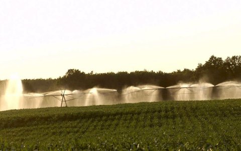 Unos campos son regados para luchar contra la sequía en la región Charente, al oeste Francia.