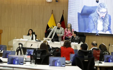 La Revolución Ciudadana tiene la mayoría de ediles en el Concejo. Cinco de seis buscan la reelección.