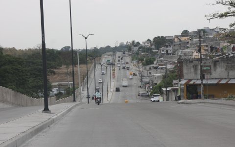Las aceras y parterres no cuentan con sombra en la avenida Teodoro Alvarado Oleas, en el norte de Guayaquil.
