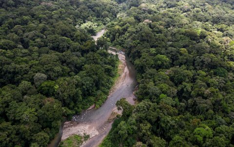 El río Mangle durante un sobrevuelo en la selva del Tapón del Darién este 14 de agosto de 2026.