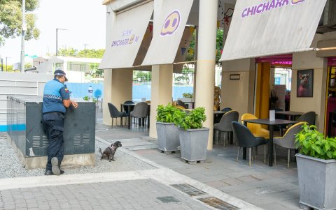 La falta de programación artística continua afecta el tránsito de turistas nacionales y extranjeros en la zona.