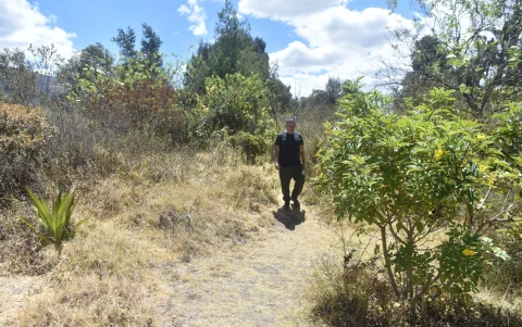 Que se pierda el Bosque Amarillo del parque Bicentenario es una de las preocupaciones de los usuarios.