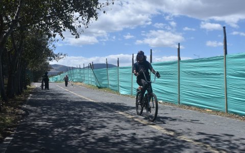 Miles de usuarios llegan al parque Bicentenario para caminar con sus mascotas, correr o andar en bicicleta.
