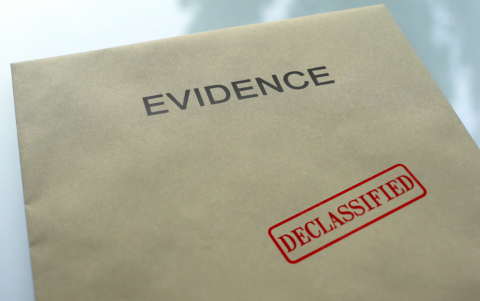 Evidencias reunidas para sustentar la denuncia.