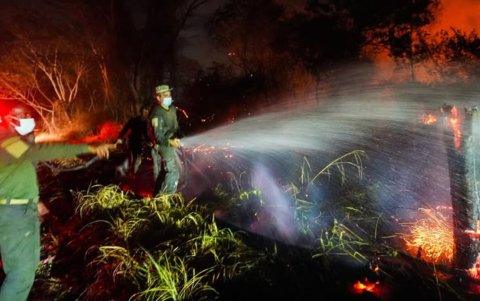 Integrantes de la Policía de Colombia intentando apagar un incendio forestal en una zona rural del departamento del Tolima (Colombia).