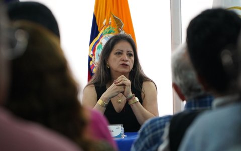 Elena Nájera expuso el caso del director provincial en una sesión del Pleno del CNE.