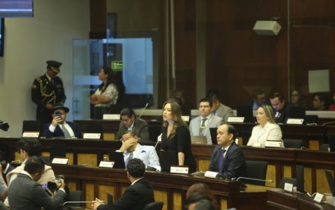 Mishel Mancheno defendió su iniciativa ante el Pleno durante el primer debate de la Ley Antimafias.