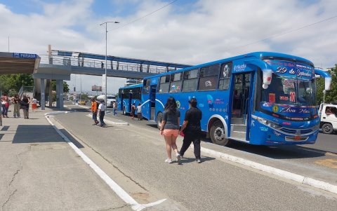 Los usuarios de los buses urbanos de Manta podrán denunciar malas maniobras e infracciones, a través de una APP