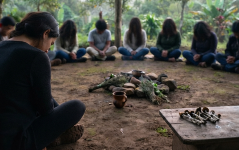 Referencial. Natalia Roa relata cambios que ella asocia con introspección y bienestar emocional después de participar en ceremonias con ayahuasca y hongos.