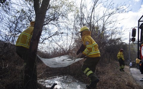Prevención. Bomberos retiraron vidrios acumulados en El Cebollar, pues pueden concentrar el calor y convertirse en un factor de riesgo durante incendios.