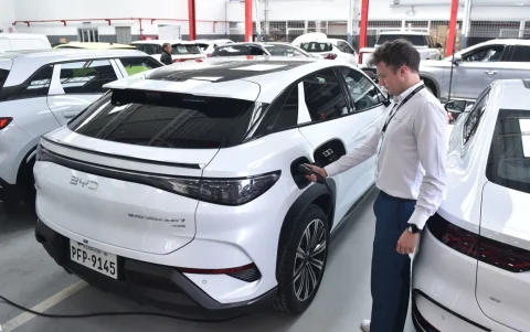 El blanco fue el color más vendido en agosto, con 4.718 unidades y el 30,9 % del mercado.