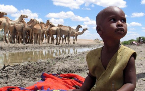 Un niño keniano sentado junto a un charco de agua estancada mientras un grupo de camellos bebe en una zona semiárida del norte de Kenia.