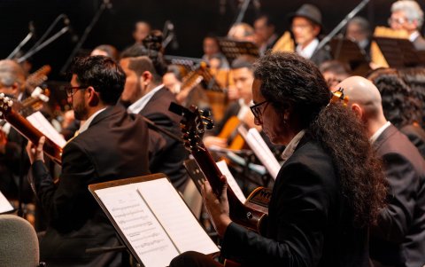 Entre los eventos que se llevarán a cabo, está el ciclo de conciertos Sonidos de la Memoria, interpretados por los elencos de la Fundación Teatro Nacional Sucre.