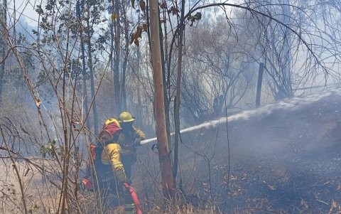 Bomberos Quito controlaron un incendio forestal registrado este sábado 12 de septiembre en el sector de El Quinche.