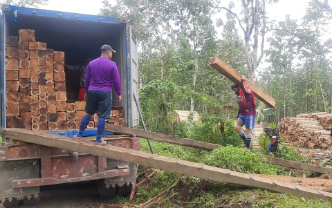 La teca representó el 7,1% de los $359,3 millones exportados por Ecuador en madera y manufacturas entre enero y julio de 2026, con ventas por $25,7 millones.