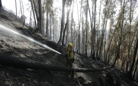 Bomberos removieron la vegetación y enfriaron los puntos calientes en La Vicentina, donde una vivienda abandonada fue consumida por el fuego.