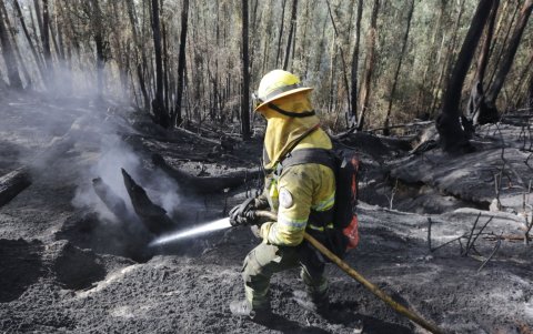 El incendio forestal consumió cinco hectáreas de vegetación en La Vicentina e Itchimbía, en el centro-norte de Quito.