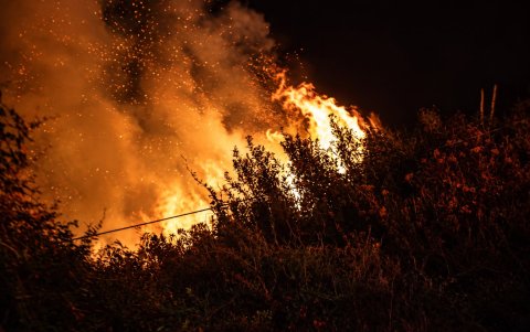 La emergencia registrada en La Vicentina generó una columna de humo visible desde varios sectores de Quito durante la jornada.