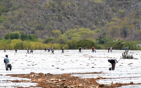 Personas caminando cerca de la rivera del río Las Ovejas durante la temporada de sequía en El Jícaro (Guatemala).