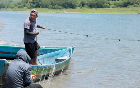 El Niño amenaza el lago Güija, que comparten El Salvador y Guatemala, haciendo peligrar el sustento de las comunidades que viven de la pesca y la agricultura.