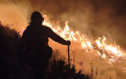 El incendio forestal en el cerro Casitagua afectó alrededor de 300 hectáreas, según informó el Municipio de Quito.