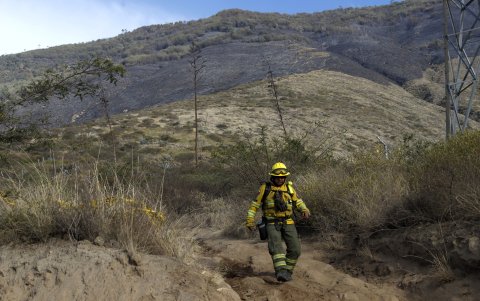 El cerro Casitagua permanece afectado por un incendio forestal que ha consumido cerca de 300 hectáreas de vegetación en Quito.
