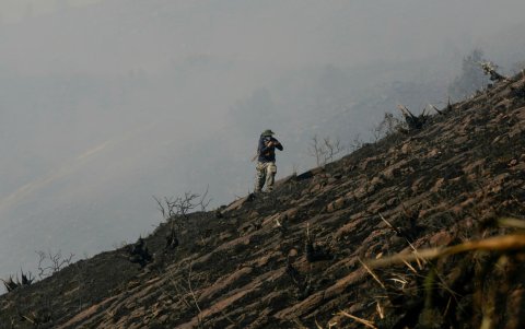 Voluntarios y organismos de socorro auxilian a los animales afectados por las llamas en el departamento de Boyacá.