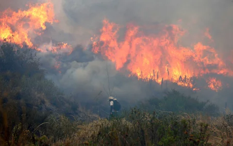 El incendio forestal en el cerro Casitagua es el que más afectaciones ha dejado hasta la fecha.