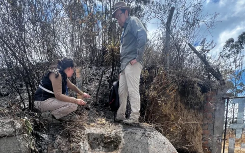 Se encontró una sección de graderío tallada directamente en la roca.
