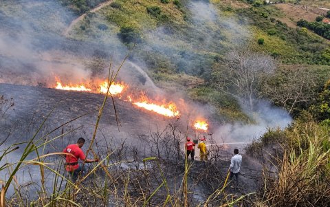 Ráfagas de viento de hasta 47 kilómetros por hora dificultan el trabajo de los bomberos y pueden reactivar focos que parecían controlados.
AG-EXTERNOS