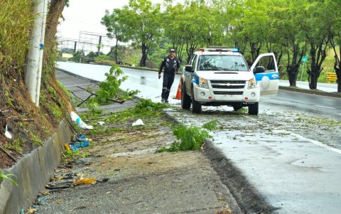 En el lugar también se retiró un árbol caído