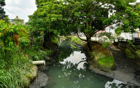 Canal del estero Salado en Urdenor 1