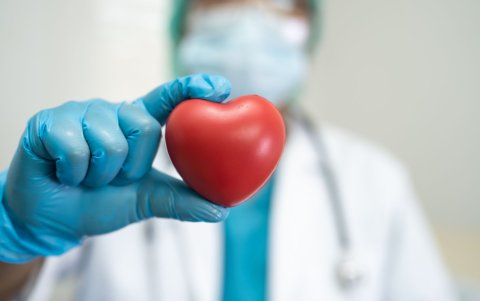 El Día Mundial del Corazón fue establecido en el año 2000 por la Federación Mundial del Corazón, con el respaldo de la Organización Mundial de la Salud (OMS).