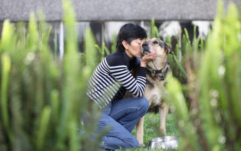 La figura de Max será parte del paisaje de Quito y recordará su historia como uno de los perros comunitarios más queridos.